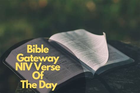 bible gateway niv version